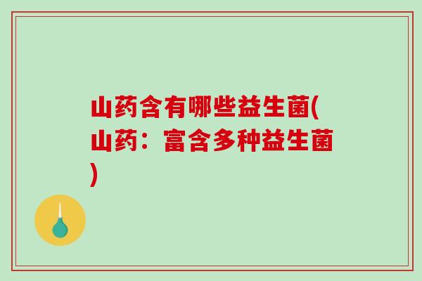 山药含有哪些益生菌(山药:富含多种益生菌) 山药含有哪些益生菌(山药:富含多种益生菌)