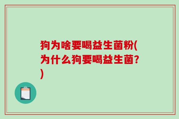 狗为啥要喝益生菌粉(为什么狗要喝益生菌?) 狗为啥要喝益生菌粉(为什么狗要喝益生菌?)