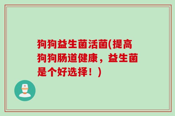 狗狗益生菌活菌(提高狗狗肠道健康，益生菌是个好选择！)