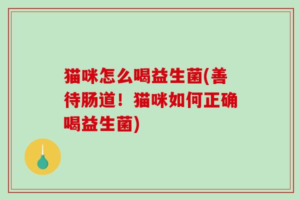 猫咪怎么喝益生菌(善待肠道!猫咪如何正确喝益生菌) 猫咪怎么喝益生菌(善待肠道!猫咪如何正确喝益生菌)