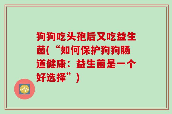 狗狗吃头孢后又吃益生菌(“如何保护狗狗肠道健康：益生菌是一个好选择”)