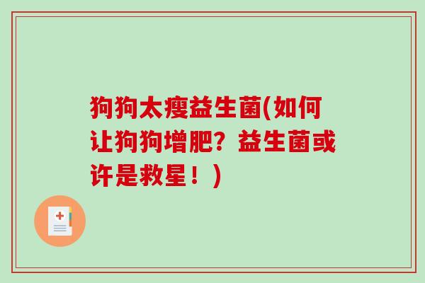 狗狗太瘦益生菌(如何让狗狗增肥?益生菌或许是救星!) 狗狗太瘦益生菌(如何让狗狗增肥?益生菌或许是救星!)