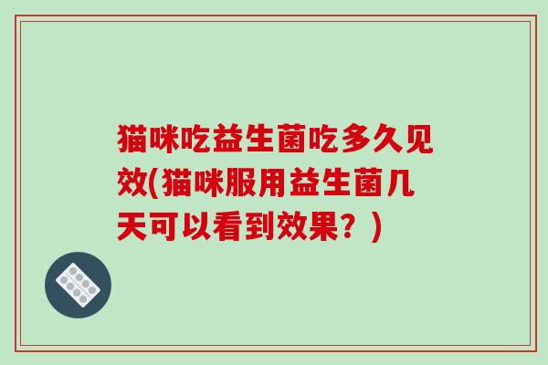 猫咪吃益生菌吃多久见效(猫咪服用益生菌几天可以看到效果?) 猫咪吃益生菌吃多久见效(猫咪服用益生菌几天可以看到效果?)