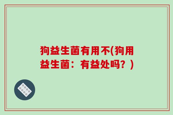 狗益生菌有用不(狗用益生菌：有益处吗？)