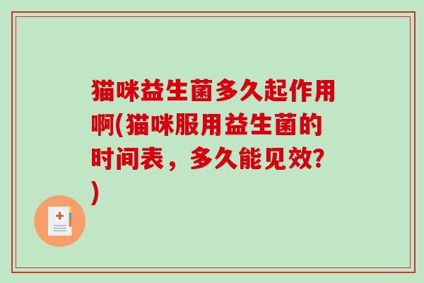 猫咪益生菌多久起作用啊(猫咪服用益生菌的时间表，多久能见效？)