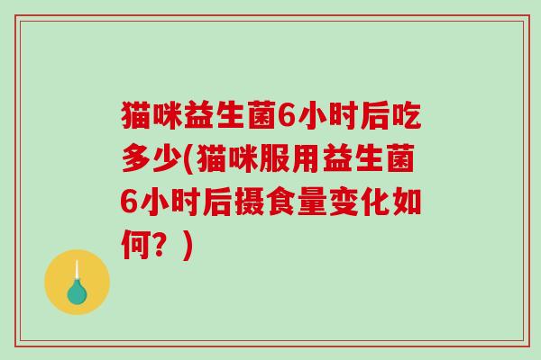 猫咪益生菌6小时后吃多少(猫咪服用益生菌6小时后摄食量变化如何？)