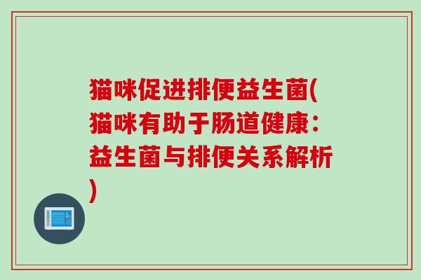 猫咪促进排便益生菌(猫咪有助于肠道健康:益生菌与排便关系解析) 猫咪促进排便益生菌(猫咪有助于肠道健康:益生菌与排便关系解析)