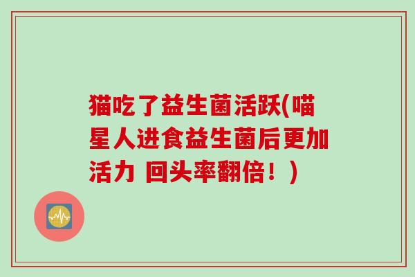 猫吃了益生菌活跃(喵星人进食益生菌后更加活力 回头率翻倍！)
