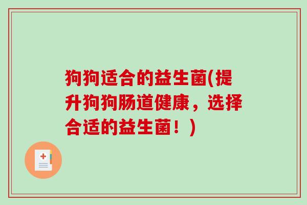 狗狗适合的益生菌(提升狗狗肠道健康,选择合适的益生菌!) 狗狗适合的益生菌(提升狗狗肠道健康,选择合适的益生菌!)