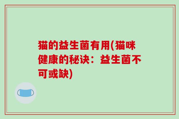 猫的益生菌有用(猫咪健康的秘诀：益生菌不可或缺)