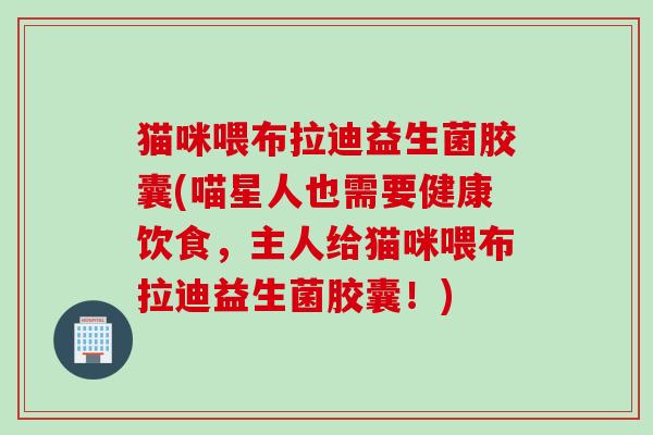 猫咪喂布拉迪益生菌胶囊(喵星人也需要健康饮食,主人给猫咪喂布拉迪益生菌胶囊!) 猫咪喂布拉迪益生菌胶囊(喵星人也需要健康饮食,主人给猫咪喂布拉迪益生菌胶囊!)