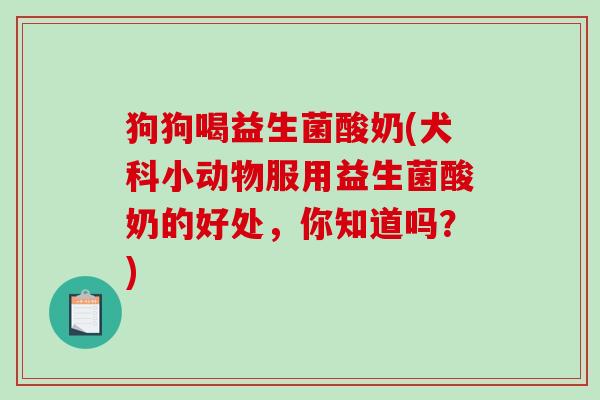 狗狗喝益生菌酸奶(犬科小动物服用益生菌酸奶的好处,你知道吗?) 狗狗喝益生菌酸奶(犬科小动物服用益生菌酸奶的好处,你知道吗?)