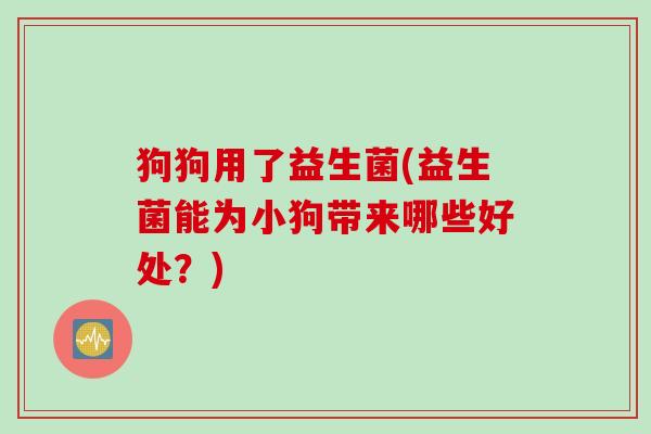 狗狗用了益生菌(益生菌能为小狗带来哪些好处？)
