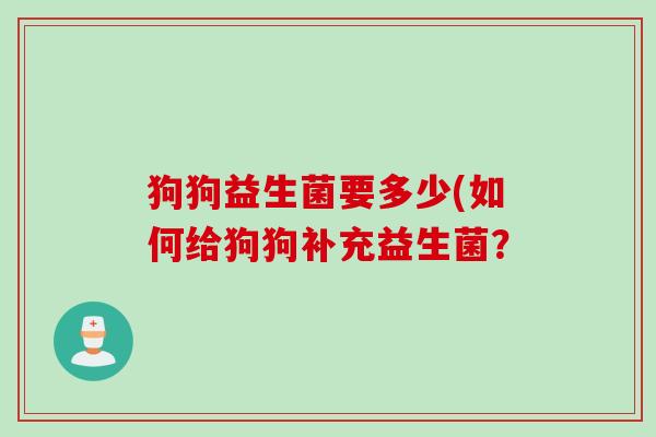 狗狗益生菌要多少(如何给狗狗补充益生菌? 狗狗益生菌要多少(如何给狗狗补充益生菌?