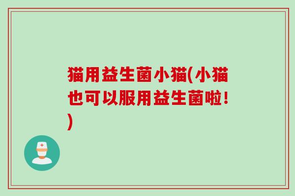 猫用益生菌小猫(小猫也可以服用益生菌啦！)