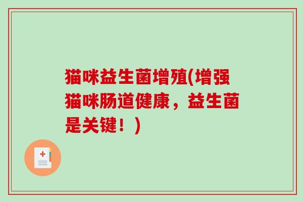 猫咪益生菌增殖(增强猫咪肠道健康，益生菌是关键！)