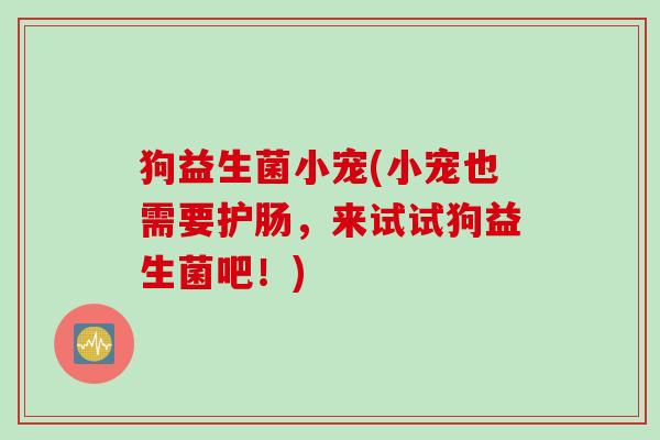 狗益生菌小宠(小宠也需要护肠,来试试狗益生菌吧!) 狗益生菌小宠(小宠也需要护肠,来试试狗益生菌吧!)