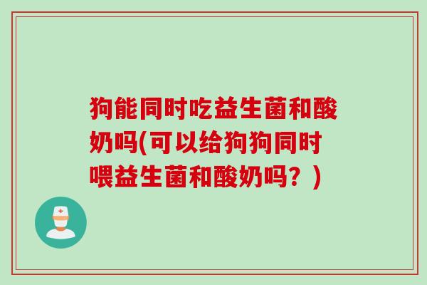 狗能同时吃益生菌和酸奶吗(可以给狗狗同时喂益生菌和酸奶吗?) 狗能同时吃益生菌和酸奶吗(可以给狗狗同时喂益生菌和酸奶吗?)