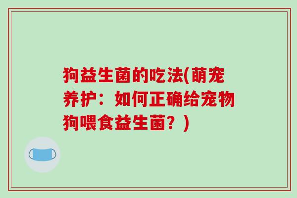 狗益生菌的吃法(萌宠养护：如何正确给宠物狗喂食益生菌？)