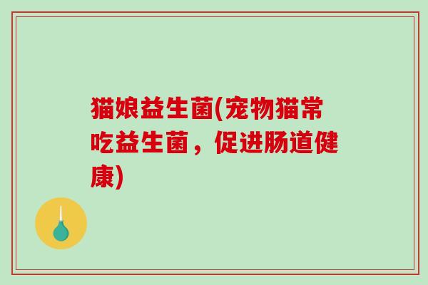 猫娘益生菌(宠物猫常吃益生菌,促进肠道健康) 猫娘益生菌(宠物猫常吃益生菌,促进肠道健康)