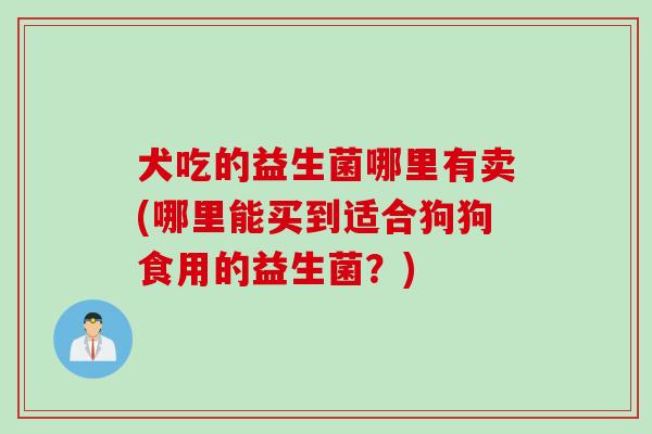 犬吃的益生菌哪里有卖(哪里能买到适合狗狗食用的益生菌?) 犬吃的益生菌哪里有卖(哪里能买到适合狗狗食用的益生菌?)