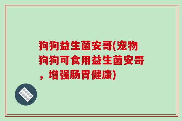 狗狗益生菌安哥(宠物狗狗可食用益生菌安哥，增强肠胃健康)