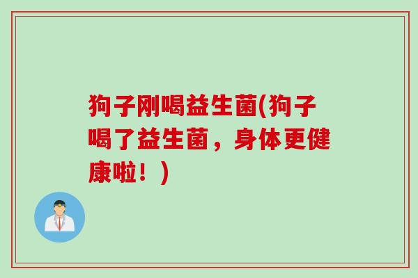 狗子刚喝益生菌(狗子喝了益生菌,身体更健康啦!) 狗子刚喝益生菌(狗子喝了益生菌,身体更健康啦!)