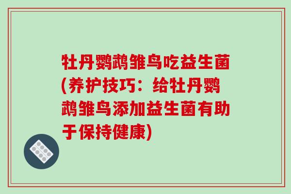 牡丹鹦鹉雏鸟吃益生菌(养护技巧：给牡丹鹦鹉雏鸟添加益生菌有助于保持健康)