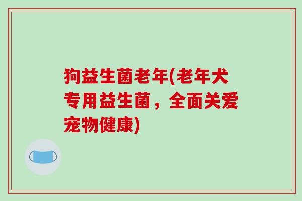 狗益生菌老年(老年犬专用益生菌,全面关爱宠物健康) 狗益生菌老年(老年犬专用益生菌,全面关爱宠物健康)