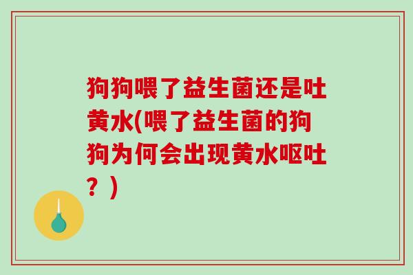 狗狗喂了益生菌还是吐黄水(喂了益生菌的狗狗为何会出现黄水?) 狗狗喂了益生菌还是吐黄水(喂了益生菌的狗狗为何会出现黄水?)