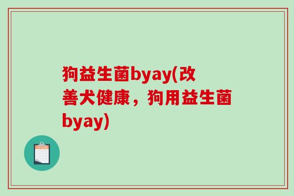 狗益生菌byay(改善犬健康，狗用益生菌byay)