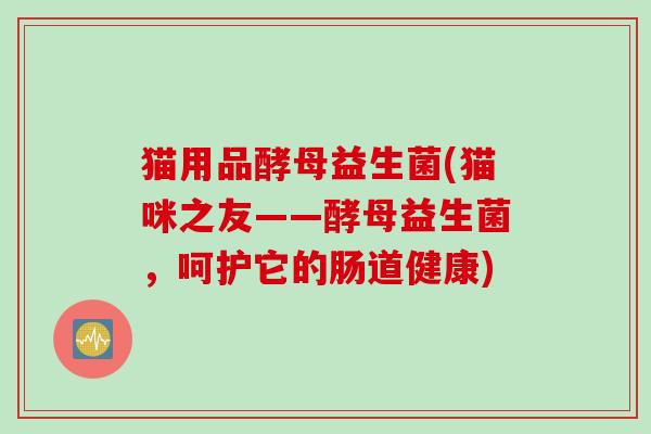 猫用品酵母益生菌(猫咪之友——酵母益生菌,呵护它的肠道健康) 猫用品酵母益生菌(猫咪之友——酵母益生菌,呵护它的肠道健康)