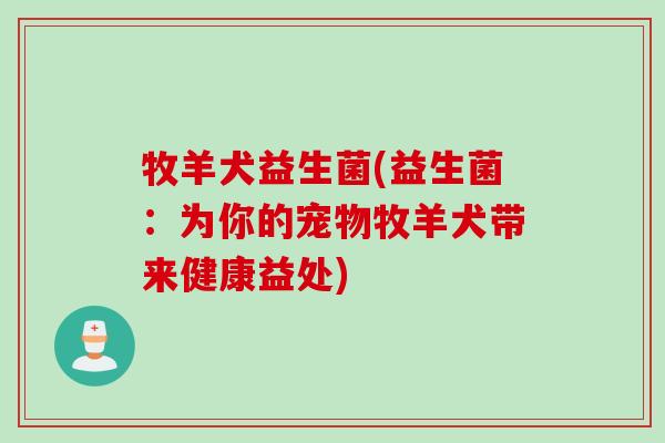 牧羊犬益生菌(益生菌:为你的宠物牧羊犬带来健康益处) 牧羊犬益生菌(益生菌:为你的宠物牧羊犬带来健康益处)