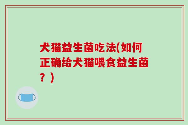 犬猫益生菌吃法(如何正确给犬猫喂食益生菌？)