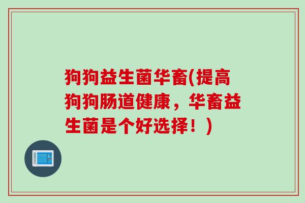 狗狗益生菌华畜(提高狗狗肠道健康，华畜益生菌是个好选择！)