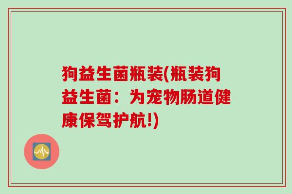 狗益生菌瓶装(瓶装狗益生菌：为宠物肠道健康保驾护航!)