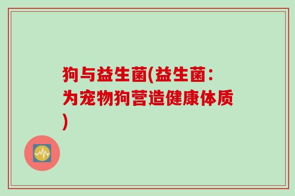 狗与益生菌(益生菌：为宠物狗营造健康体质)