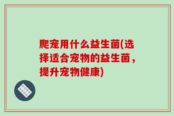 爬宠用什么益生菌(选择适合宠物的益生菌,提升宠物健康) 爬宠用什么益生菌(选择适合宠物的益生菌,提升宠物健康)