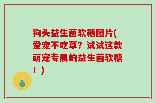 狗头益生菌软糖图片(爱宠不吃草？试试这款萌宠专属的益生菌软糖！)