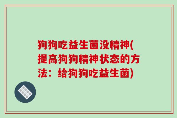 狗狗吃益生菌没精神(提高狗狗精神状态的方法:给狗狗吃益生菌) 狗狗吃益生菌没精神(提高狗狗精神状态的方法:给狗狗吃益生菌)