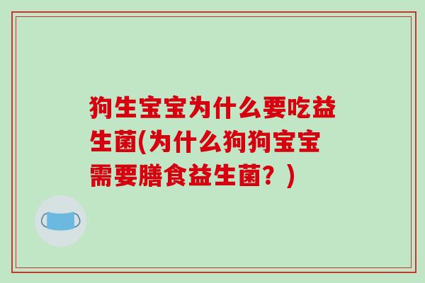 狗生宝宝为什么要吃益生菌(为什么狗狗宝宝需要膳食益生菌?) 狗生宝宝为什么要吃益生菌(为什么狗狗宝宝需要膳食益生菌?)