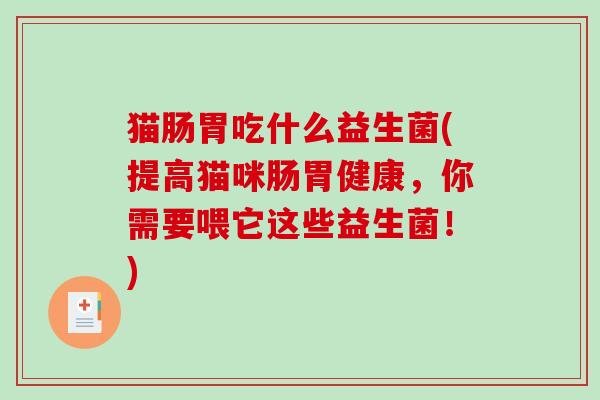 猫肠胃吃什么益生菌(提高猫咪肠胃健康,你需要喂它这些益生菌!) 猫肠胃吃什么益生菌(提高猫咪肠胃健康,你需要喂它这些益生菌!)