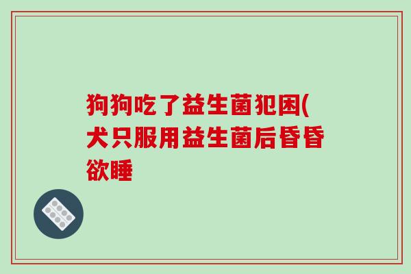 狗狗吃了益生菌犯困(犬只服用益生菌后昏昏欲睡 狗狗吃了益生菌犯困(犬只服用益生菌后昏昏欲睡