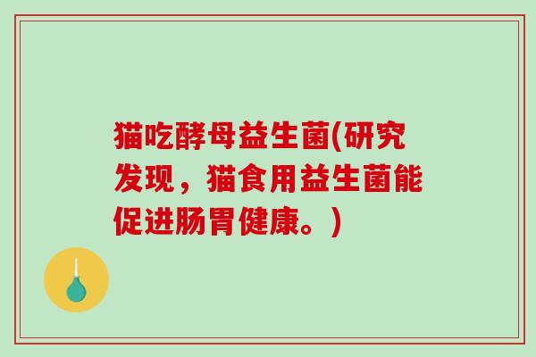 猫吃酵母益生菌(研究发现，猫食用益生菌能促进肠胃健康。)