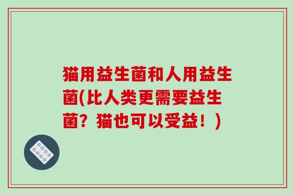 猫用益生菌和人用益生菌(比人类更需要益生菌?猫也可以受益!) 猫用益生菌和人用益生菌(比人类更需要益生菌?猫也可以受益!)