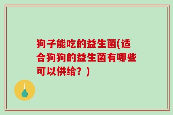 狗子能吃的益生菌(适合狗狗的益生菌有哪些可以供给?) 狗子能吃的益生菌(适合狗狗的益生菌有哪些可以供给?)