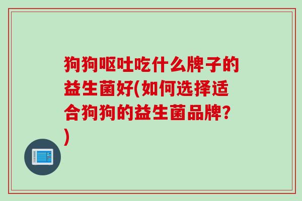 狗狗呕吐吃什么牌子的益生菌好(如何选择适合狗狗的益生菌品牌？)