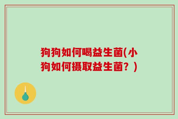 狗狗如何喝益生菌(小狗如何摄取益生菌?) 狗狗如何喝益生菌(小狗如何摄取益生菌?)