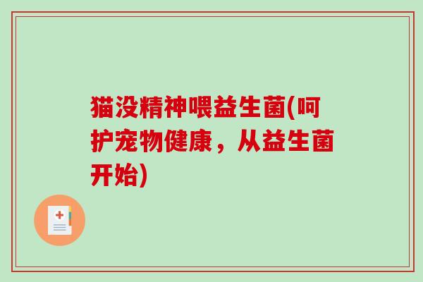 猫没精神喂益生菌(呵护宠物健康,从益生菌开始) 猫没精神喂益生菌(呵护宠物健康,从益生菌开始)