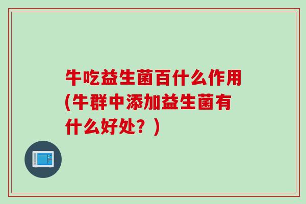牛吃益生菌百什么作用(牛群中添加益生菌有什么好处?) 牛吃益生菌百什么作用(牛群中添加益生菌有什么好处?)